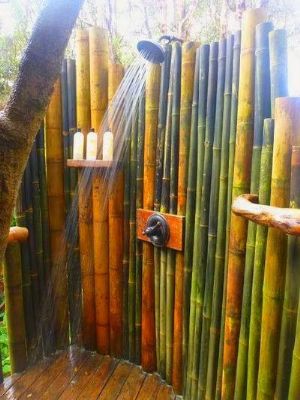 bambù - canne di bambù - bambu - bamboo -  DOCCIA.jpg